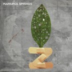 MARIUPOL SPRINGS MARIUPOL SPRINGS