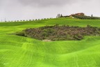 Fioriture nel verde della Val d'orcia.. Fioriture nel verde della Val d'orcia..