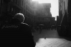 Bologna Bologna