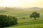Colline senesi Colline senesi