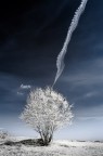 s.t.