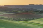 Le colline toscane ed i suoi colori del mattino.. Le colline toscane ed i suoi colori del mattino..