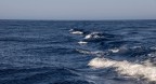Onde nel blu