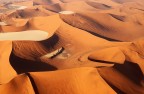 Dune Dune