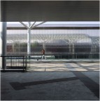 Il bosco del futuro? Il bosco del futuro?