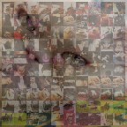 Ma cosa ricordano i gatti? Ma cosa ricordano i gatti?