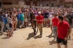 verso il Palio verso il Palio