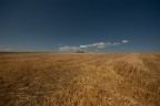 OldWildWest_Lug2022