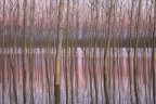 ricordo di una piena...