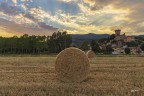 Rotballe al Tramonto.2
