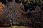 Autunno Autunno