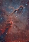 Dettaglio sulla piccola nebulosa oscura vdB 142, detta anche "proboscide di elefante", immersa nel complesso nebulare IC 1396, nei pressi della costellazione di Cefeo, costellazione circumpolare alle nostre latitudini, e quindi visibile tutto l'anno.