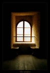 The window The window