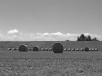 punto/linea/punto punto/linea/punto
