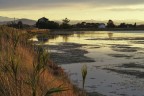 Saline di Cervia