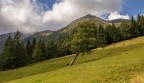 Pendenze
