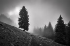 Salendo Al passo di Zulino