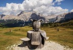 Fiore di montagna