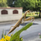 14/09/2022 14/09/2022