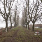 Variazioni padane Variazioni padane