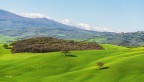 Nel mezzo al verde.. della Vald'orcia.