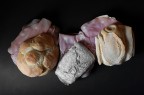 pane e mortadella pane e mortadella