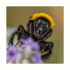 Macro_Giu2022 Macro_Giu2022