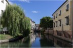 Treviso, rione dei pescatori. Treviso, rione dei pescatori.