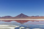 Bolivia 2019. Laguna Colorada Bolivia 2019. Laguna Colorada