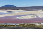 BOLIVIA 2019. Laguna Colorada BOLIVIA 2019. Laguna Colorada
