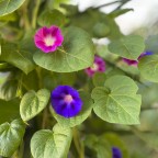 15 ottobre 2022 15 ottobre 2022