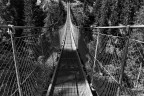 Suspension Bridge | Rabby Valley Suspension Bridge | Rabby Valley