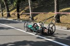 Manifestazione nata nel dopo guerra , dove teams si sfidano alla stessa maniera della F1 prima nelle qualifiche poi nelle gare ,  a bordo di  bolidi senza motore .    4 appartenenti al team , in una sorta di cambio gomme  in posizioni strategiche ,  si alternano nella spinta , fino al traguardo in due gare : la prima nella discesa da Castel San Pietro Terme fin dentro le Terme ,.......continua