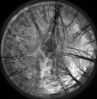 Autunno in BN Autunno in BN