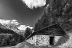 Alpine Hut