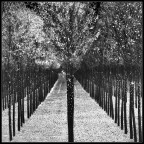 Nero e bianco... Nero e bianco...