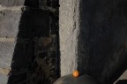aranciata aranciata