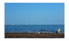 Pesca...lettore