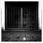 Il freddo dentro Il freddo dentro