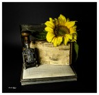 Il vecchio Timbro.. Il vecchio Timbro..