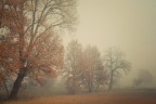 Dissolvenza