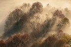 I primi raggi di sole attraversano il bosco autunnale scacciando la nebbia