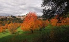 Campagne di Spoleto