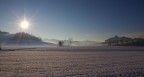 Frozen Asti Frozen Asti