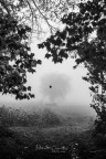 L'autunno silenzioso L'autunno silenzioso