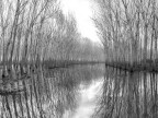inverno in Padule inverno in Padule