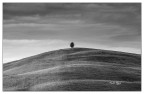Solitario sul cucuzzolo... Solitario sul cucuzzolo...