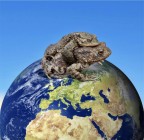 Facciamo l’amore, non facciamo la guerra! Facciamo l’amore, non facciamo la guerra!