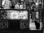 istanbul streetlife 3 istanbul streetlife 3
