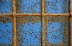 Il cielo  sempre blu